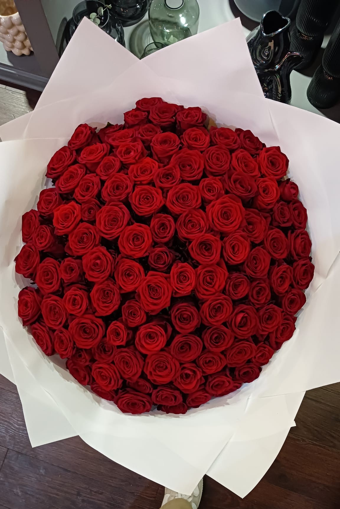 Samttraum — Üppige, samtrote Rosen mit dunklem Beiwerk